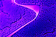 nanomaterials